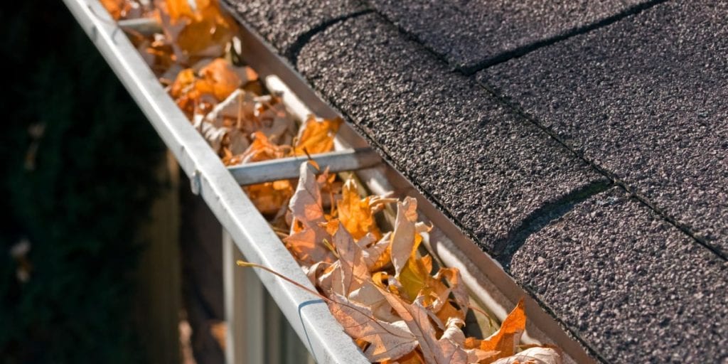Nelson Gutter Cleaning